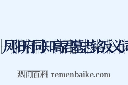 凤阳府同知高君墓志铭反义词是什么意思的图片